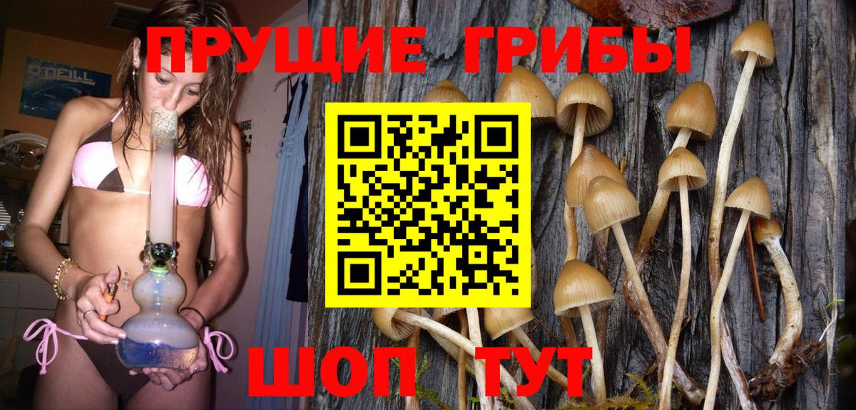 Галлюциногенные грибы MAGIC MUSHROOMS Сунжа