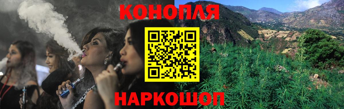 Бошки Шишки индика  Канабис семена  Сунжа  Вход с VPN 